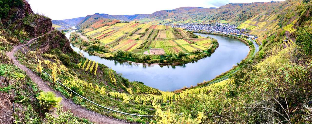 Haus Am Ufer Mit Rheinpanoramablick Lejlighed Koblenz  Eksteriør billede
