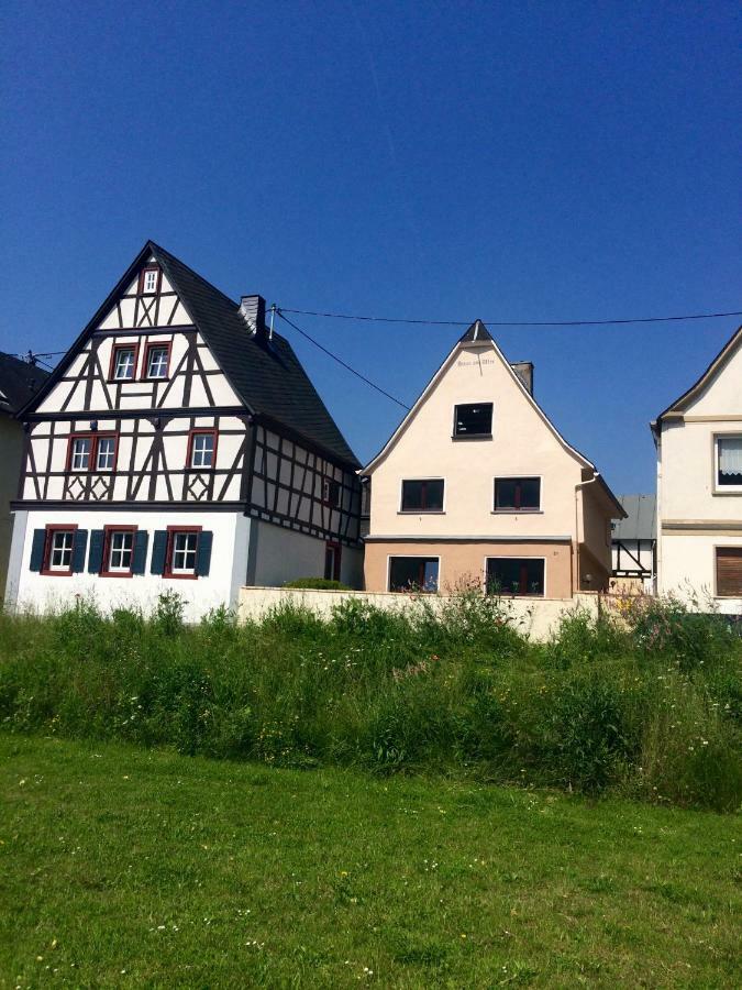 Haus Am Ufer Mit Rheinpanoramablick Lejlighed Koblenz  Eksteriør billede